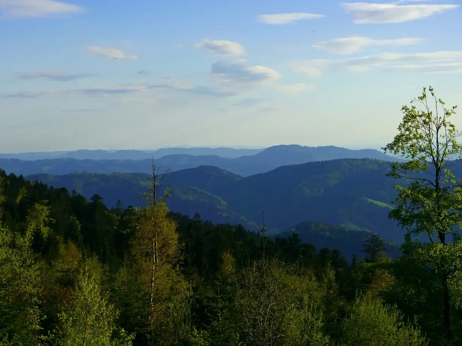 Blau gestaffelte Höhenzüge des Schwarzwalds