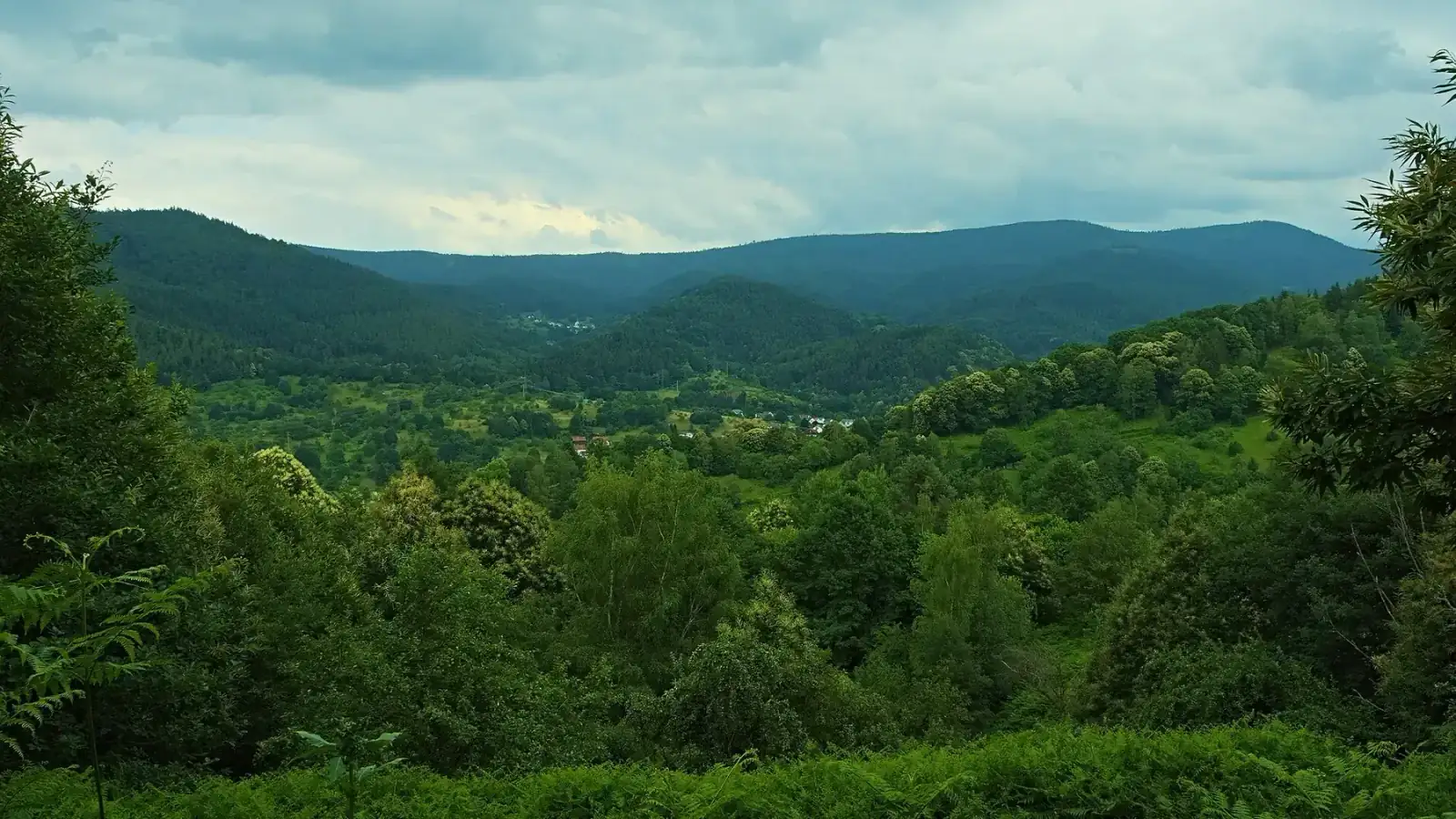 Grünes Murgtal bei Gernsbach im Schwarzwald
